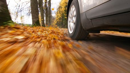 Auto fährt auf herbstlicher Landstraße