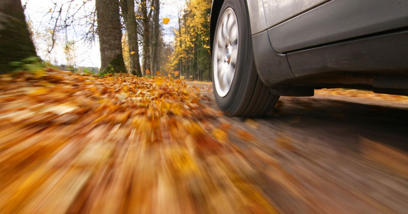 Auto fährt auf herbstlicher Landstraße